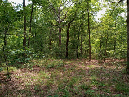 6.49 acre Ozark Mountain Camp