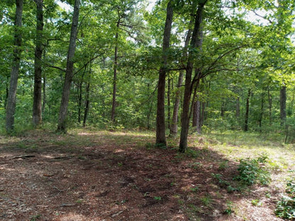 6.49 acre Ozark Mountain Camp