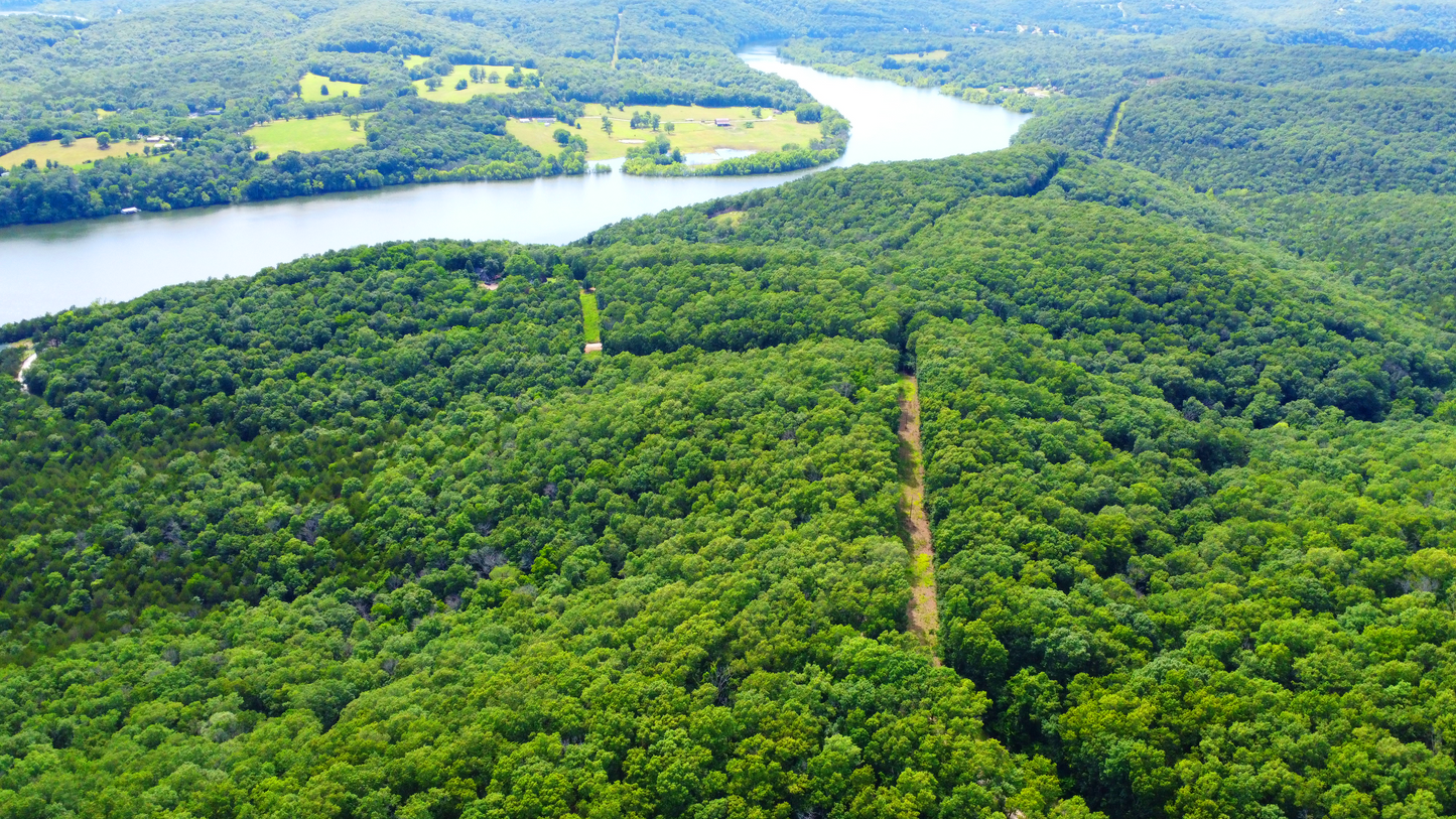 20 Acres on Martin Hollow Rd, Stone County MO