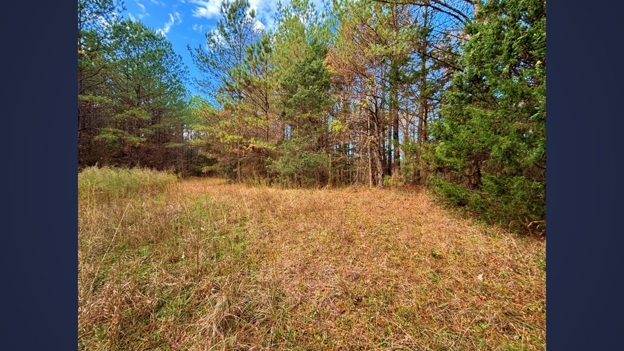 1.95-Acre Rural Homesite Near Louisburg NC