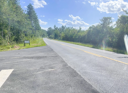 25.5 acres Washington County FL