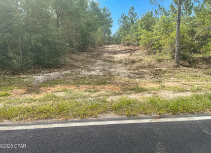 10.10 acre Washington County FL