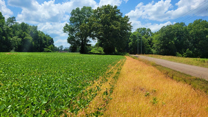 120± Acres in McNairy County, TN