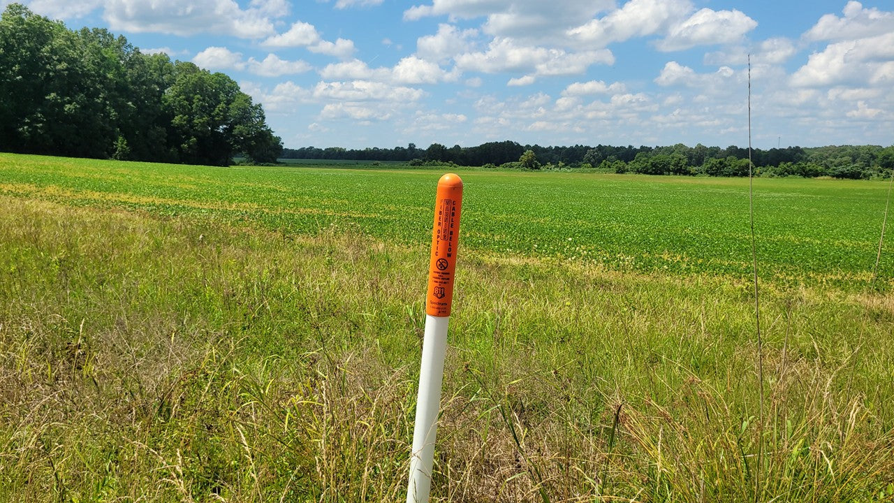 120± Acres in McNairy County, TN