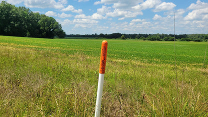 120± Acres in McNairy County, TN