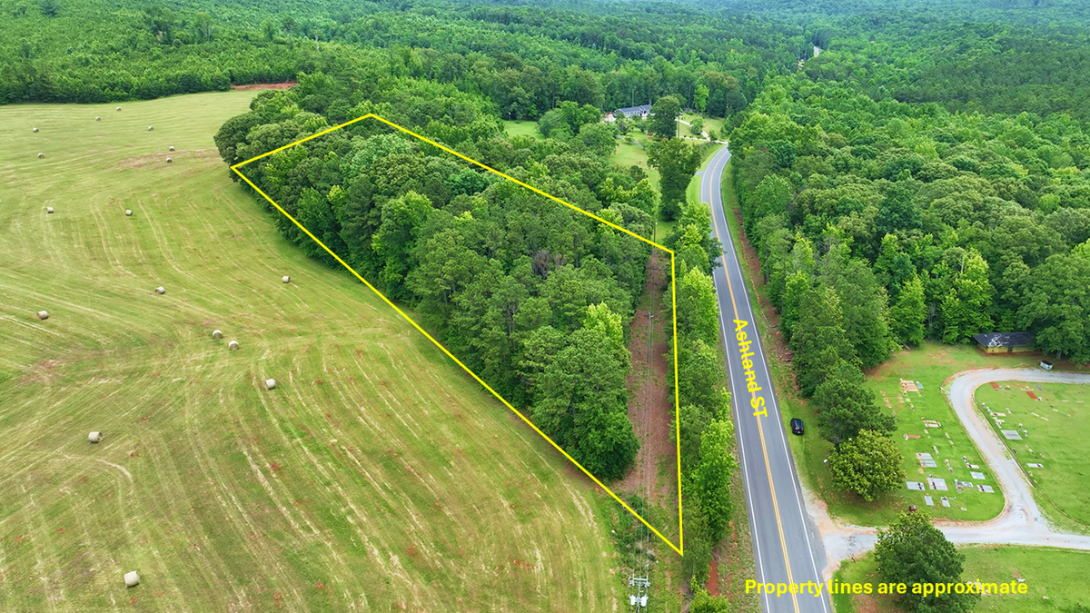 3.64 Acres on Ashland Road – Wooded Land in Alabama