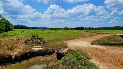 120± Acres in McNairy County, TN