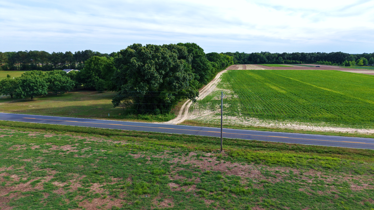 17.77 Acres Scotland County, NC