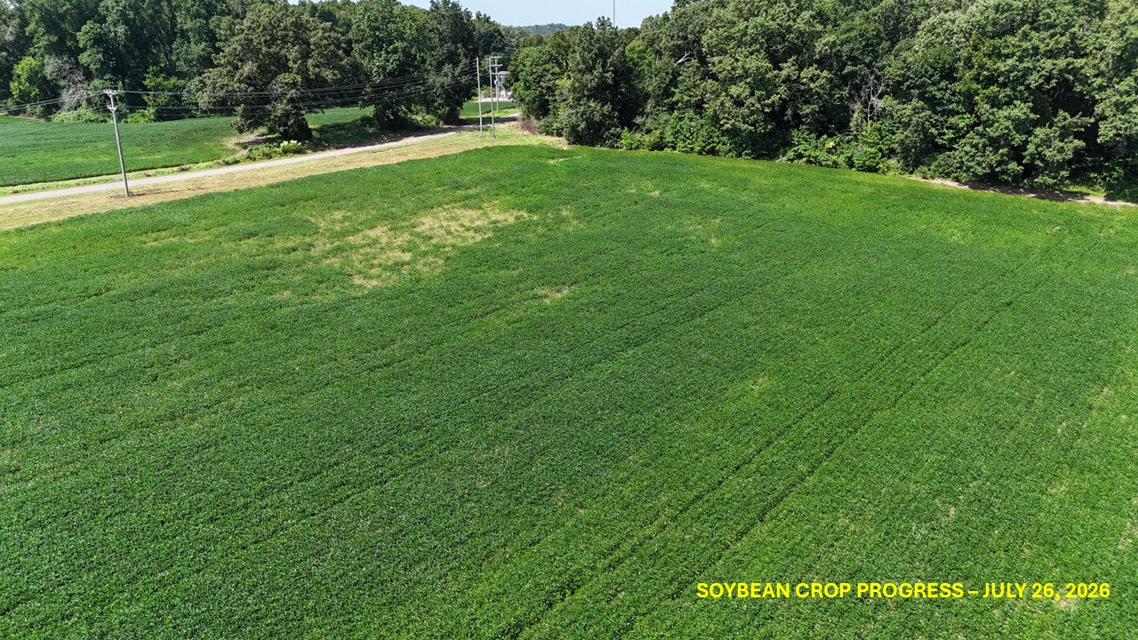 120± Acres in McNairy County, TN