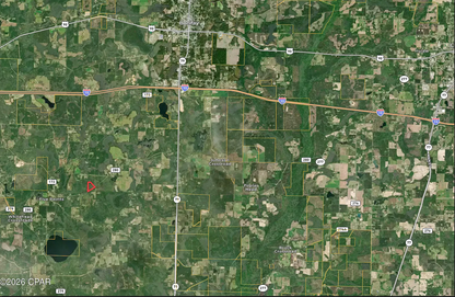 25.5 acres Washington County FL