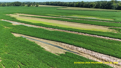 120± Acres in McNairy County, TN