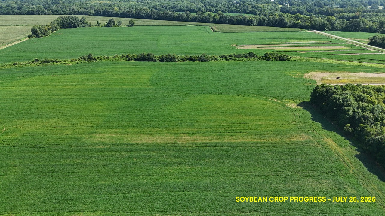 120± Acres in McNairy County, TN