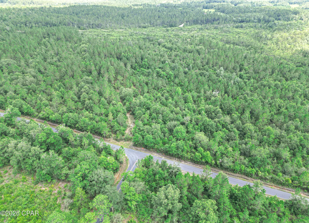9.4 Acres Washington County FL