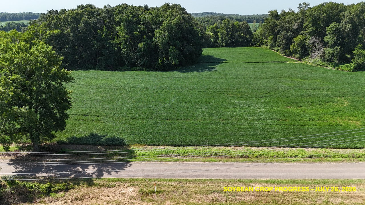 120± Acres in McNairy County, TN