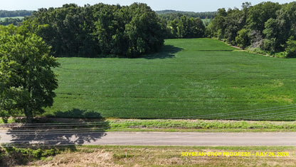 120± Acres in McNairy County, TN