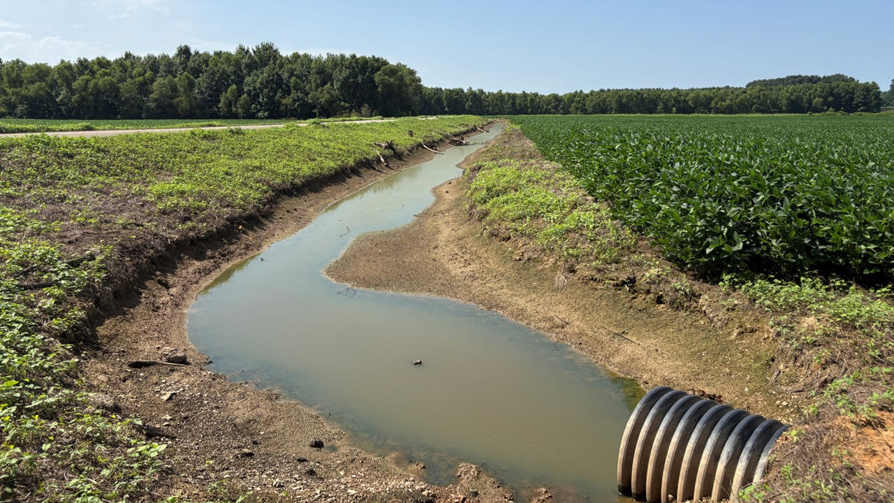 120± Acres in McNairy County, TN