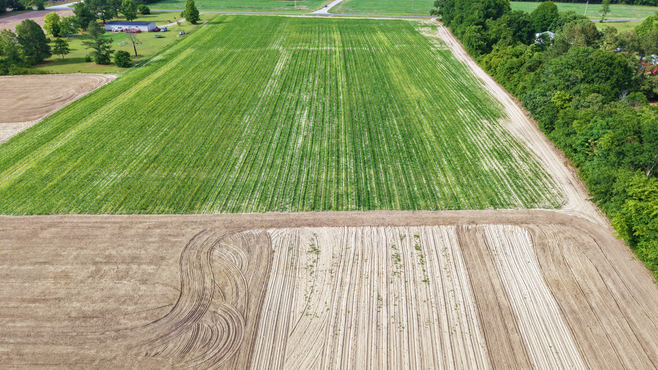 17.77 Acres Scotland County, NC