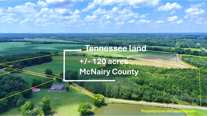 120± Acres in McNairy County, TN