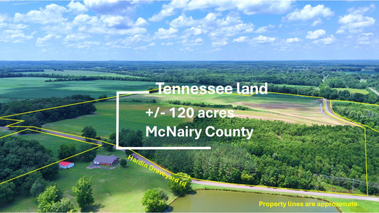 120± Acres in McNairy County, TN