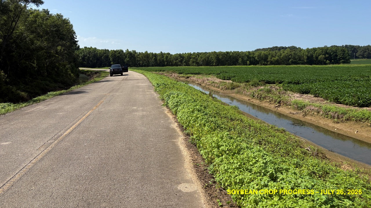120± Acres in McNairy County, TN