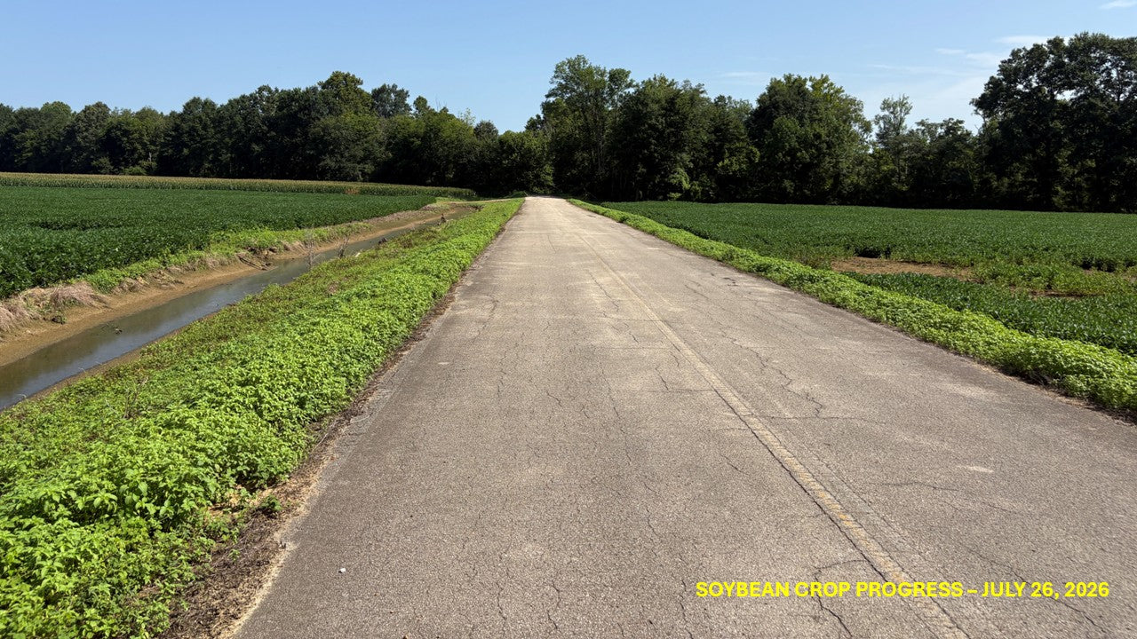 120± Acres in McNairy County, TN