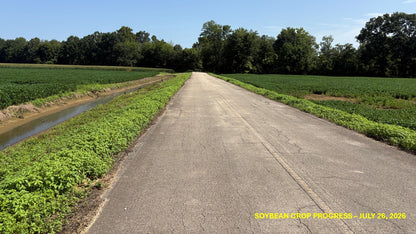 120± Acres in McNairy County, TN