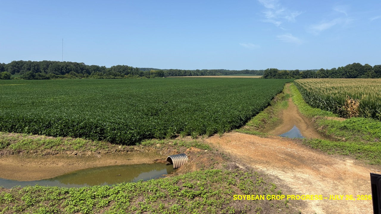 120± Acres in McNairy County, TN