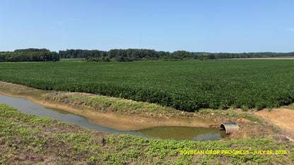 120± Acres in McNairy County, TN