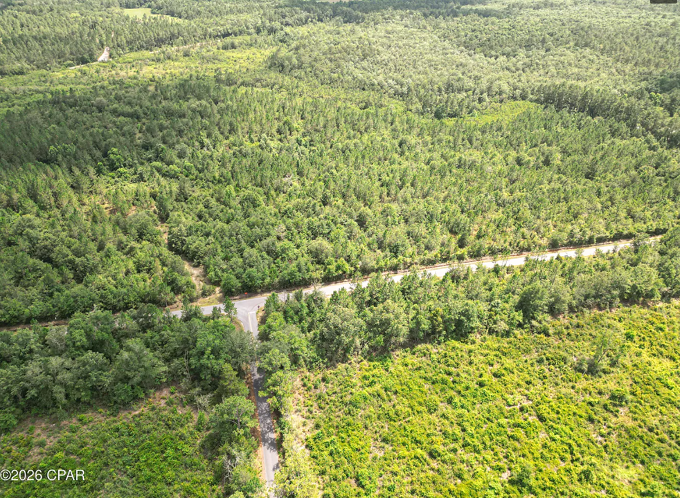 9.4 Acres Washington County FL