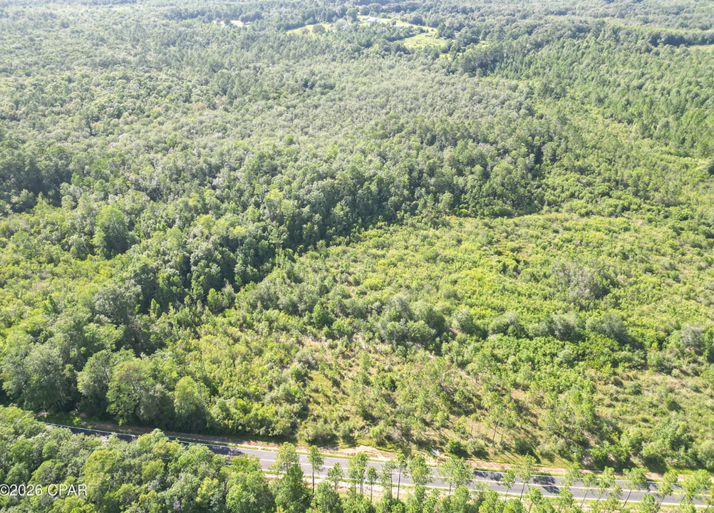 25.5 acres Washington County FL