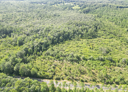 25.5 acres Washington County FL