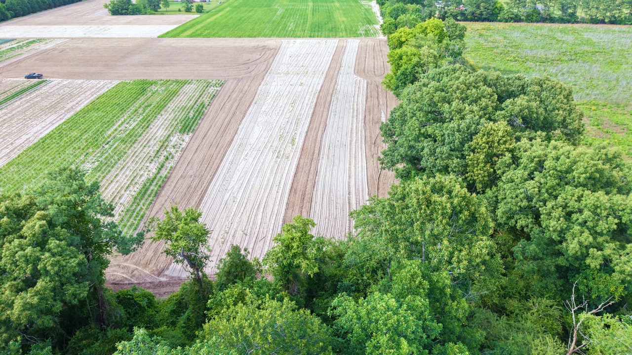 17.77 Acres Scotland County, NC