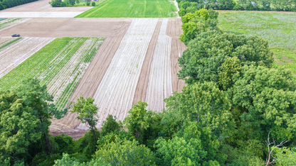 17.77 Acres Scotland County, NC