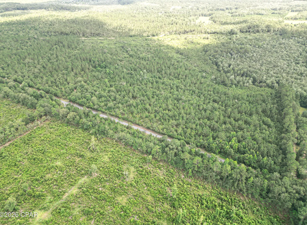 9.4 Acres Washington County FL