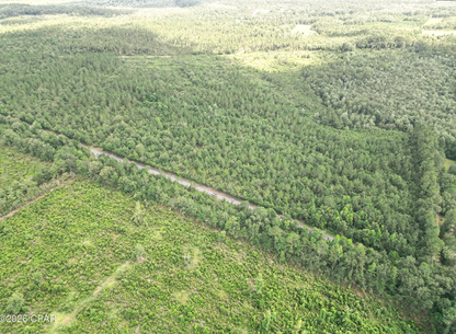 9.4 Acres Washington County FL