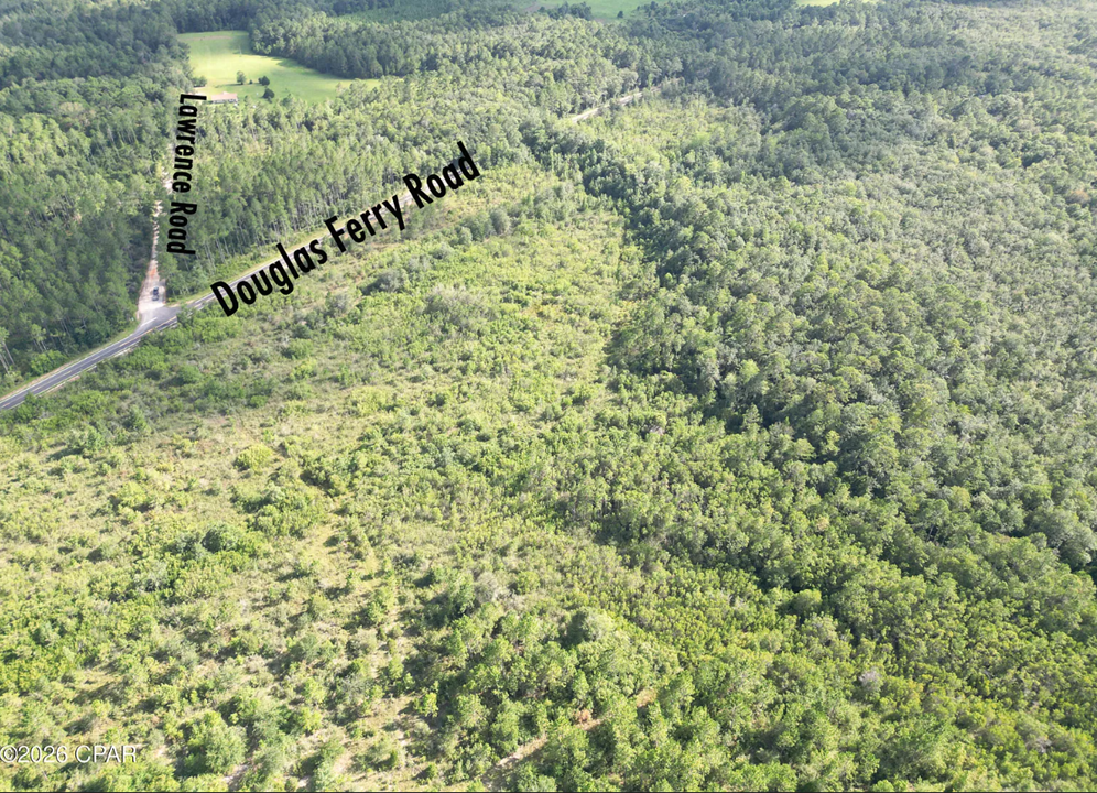 25.5 acres Washington County FL