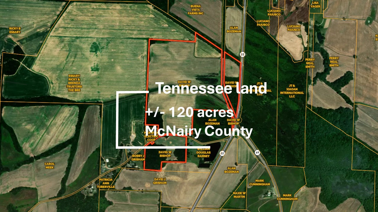 120± Acres in McNairy County, TN
