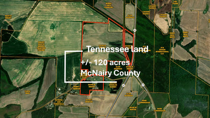 120± Acres in McNairy County, TN