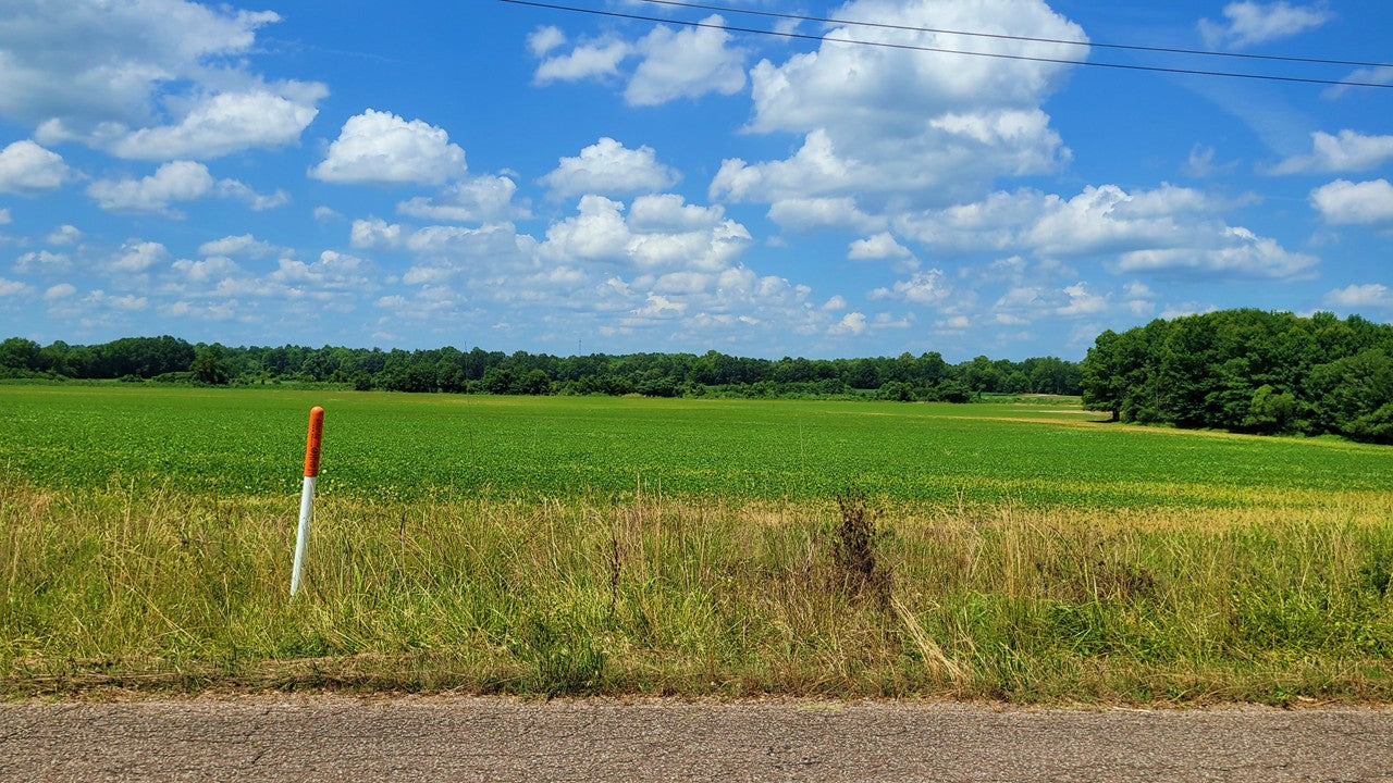 120± Acres in McNairy County, TN
