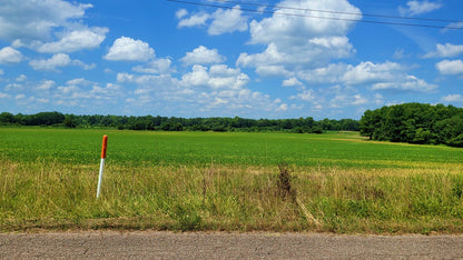120± Acres in McNairy County, TN
