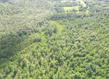25.5 acres Washington County FL