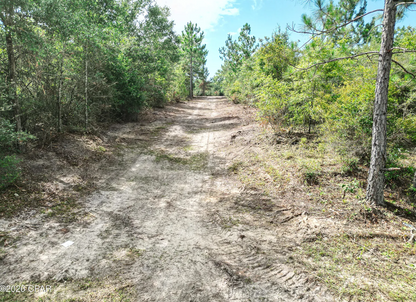 10.10 acre Washington County FL