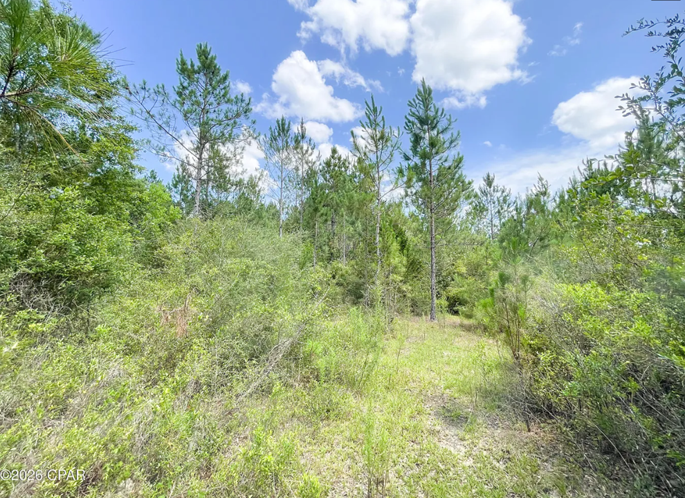 9.4 Acres Washington County FL