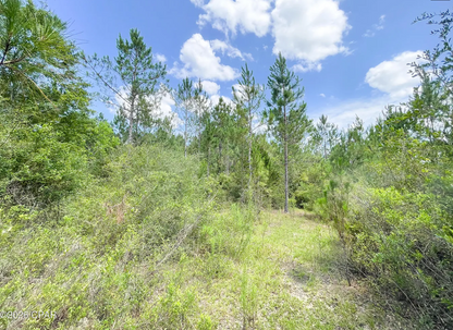 9.4 Acres Washington County FL
