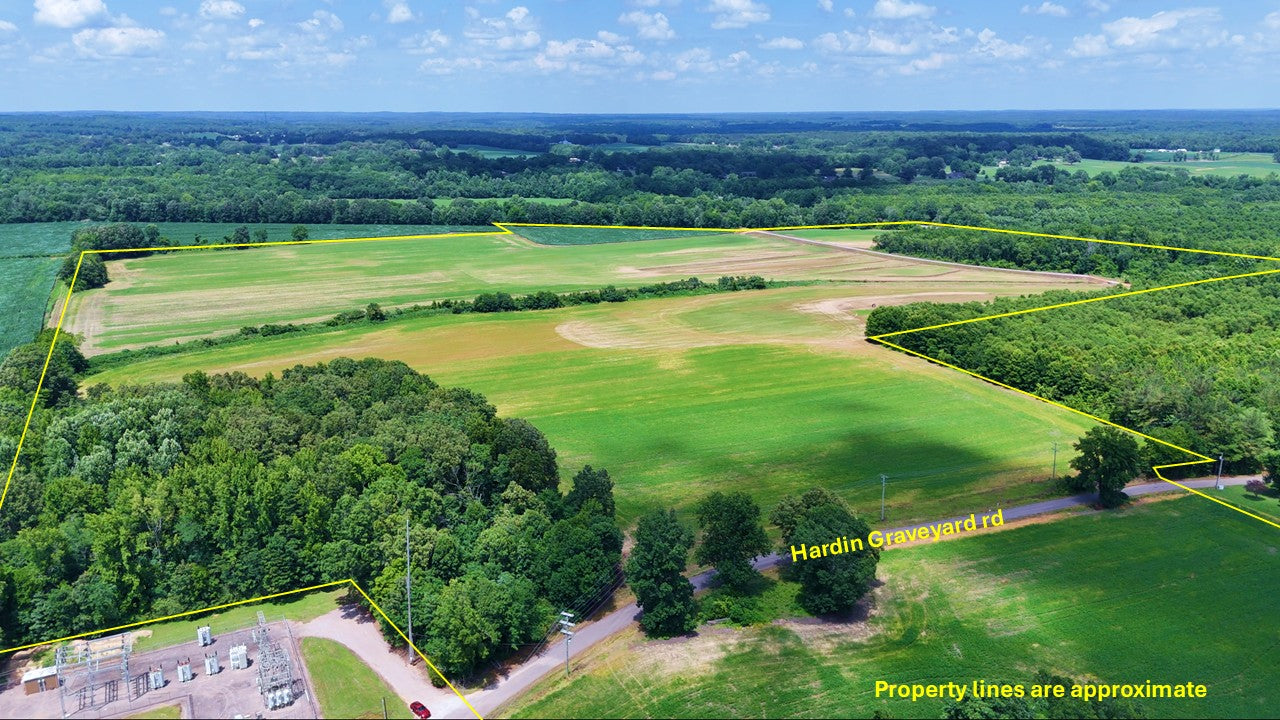 120± Acres in McNairy County, TN