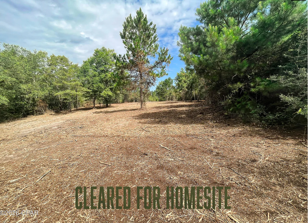 10.10 acre Washington County FL