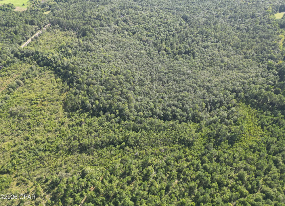 25.5 acres Washington County FL