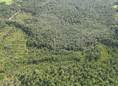 25.5 acres Washington County FL