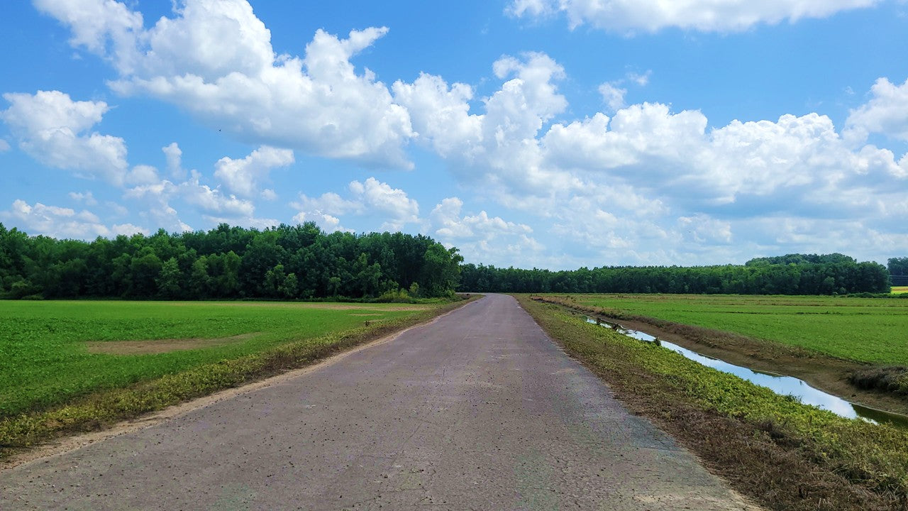 120± Acres in McNairy County, TN