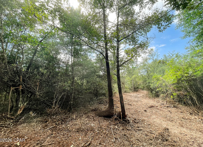 10.10 acre Washington County FL